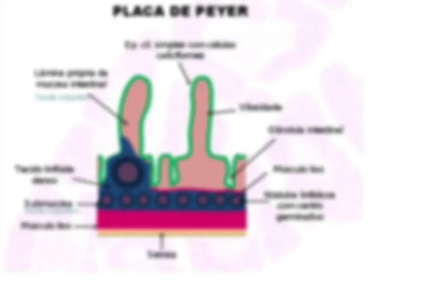 pf14