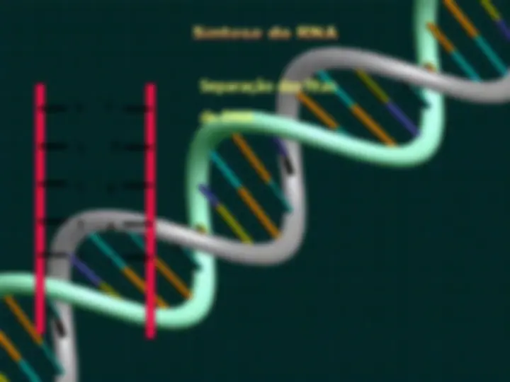 pf1b