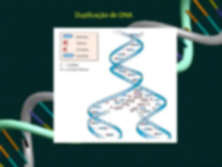 pf17