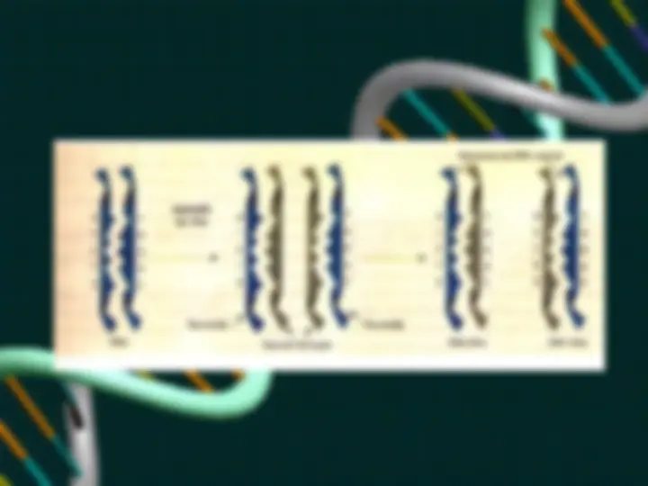 pf15
