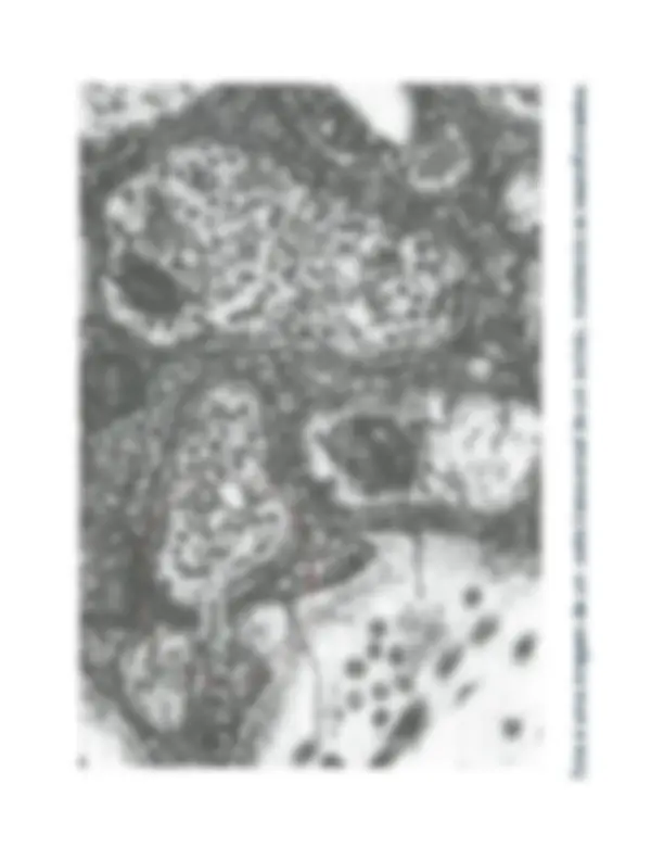 pf16
