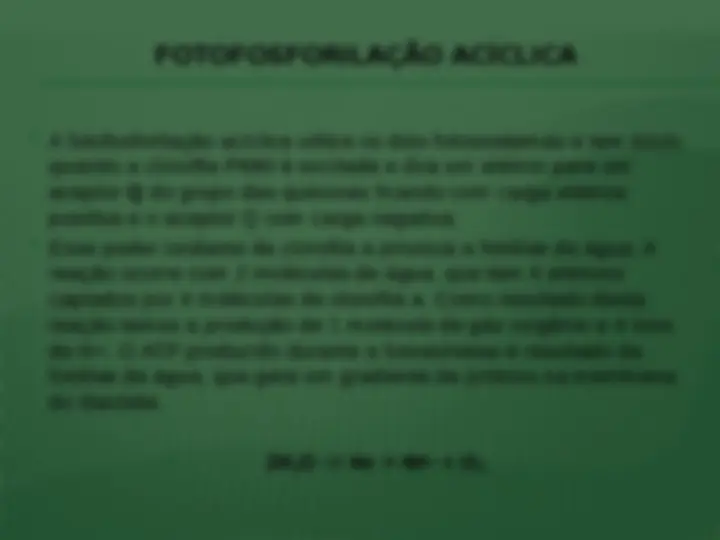 pf31