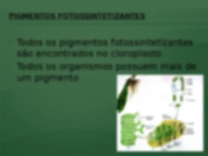 pf13