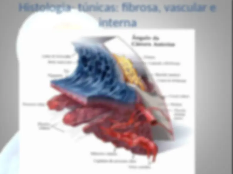 pf8