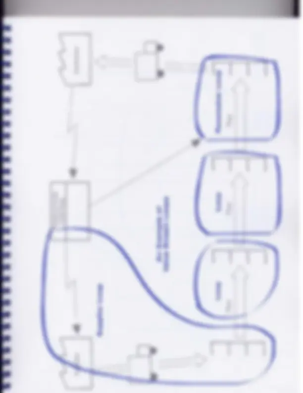 pf5f