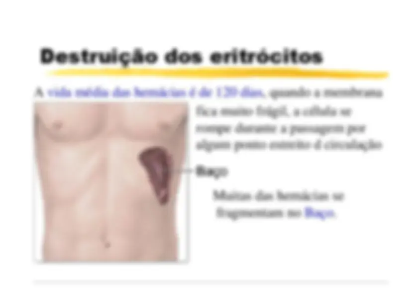 pfe