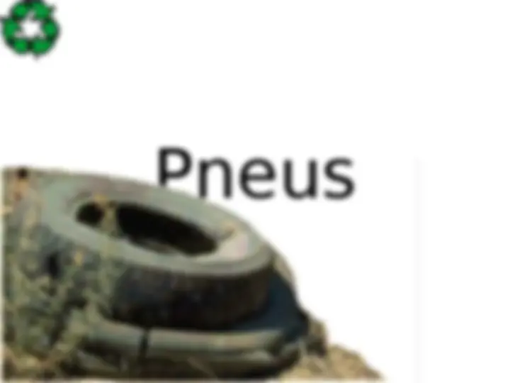 pf19
