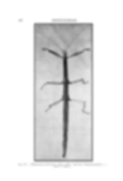 pf3