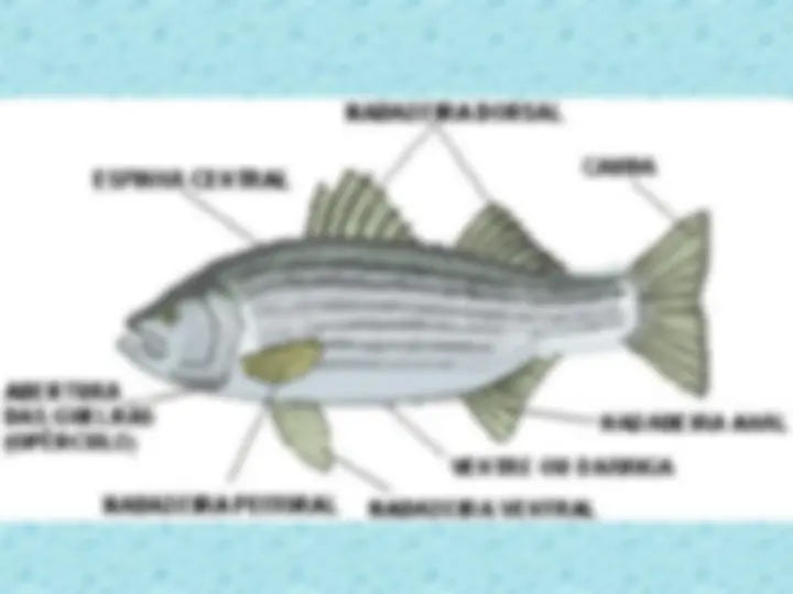 pf5