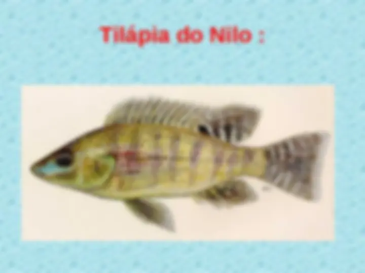pf1d