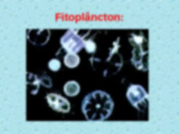 pf2a