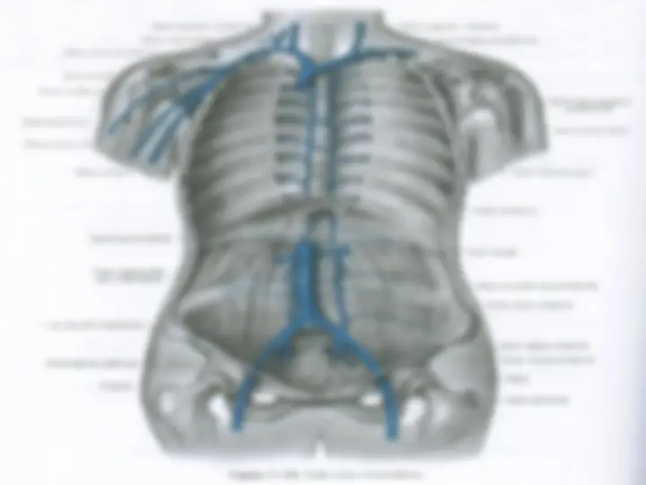 pf12