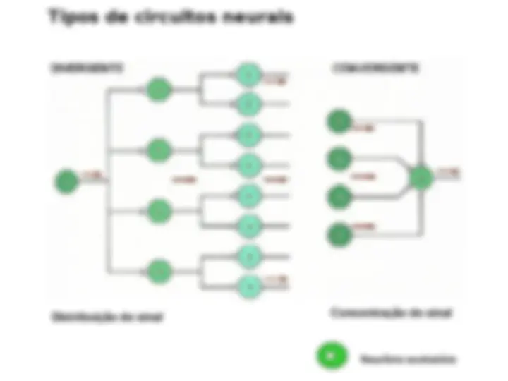 pf1d