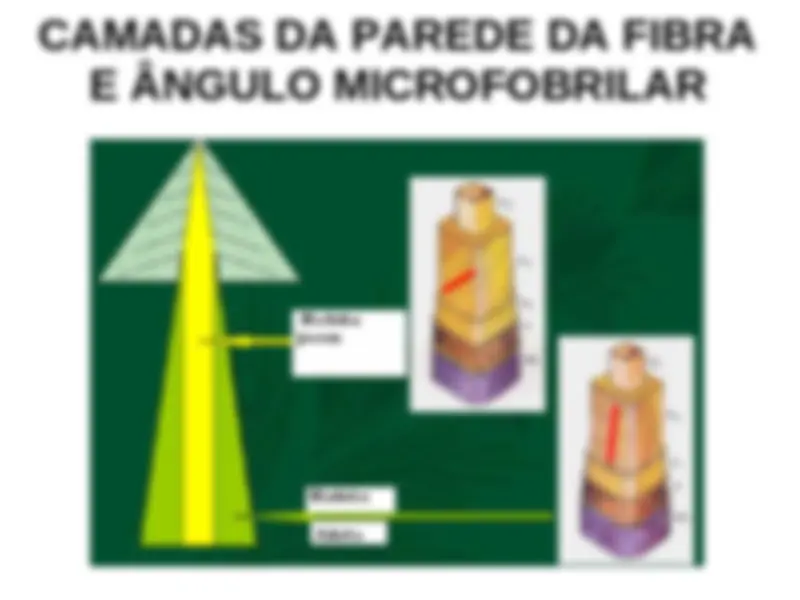 pfa