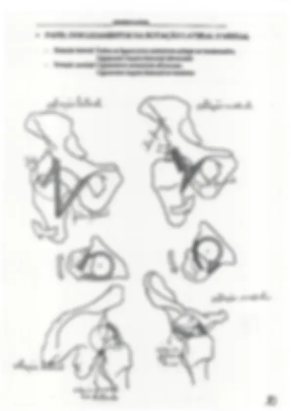 pfa