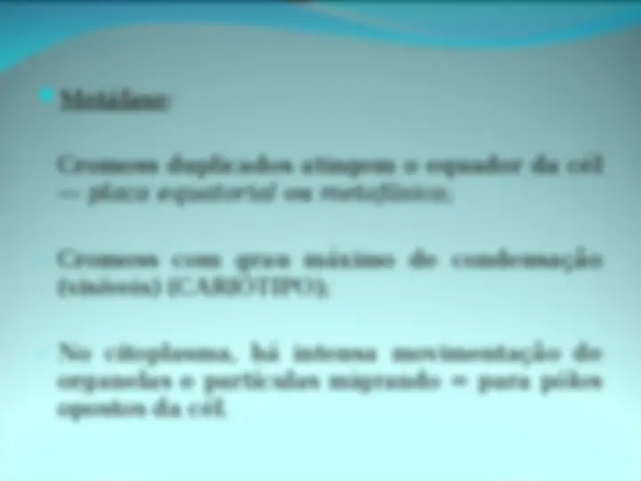 pfe