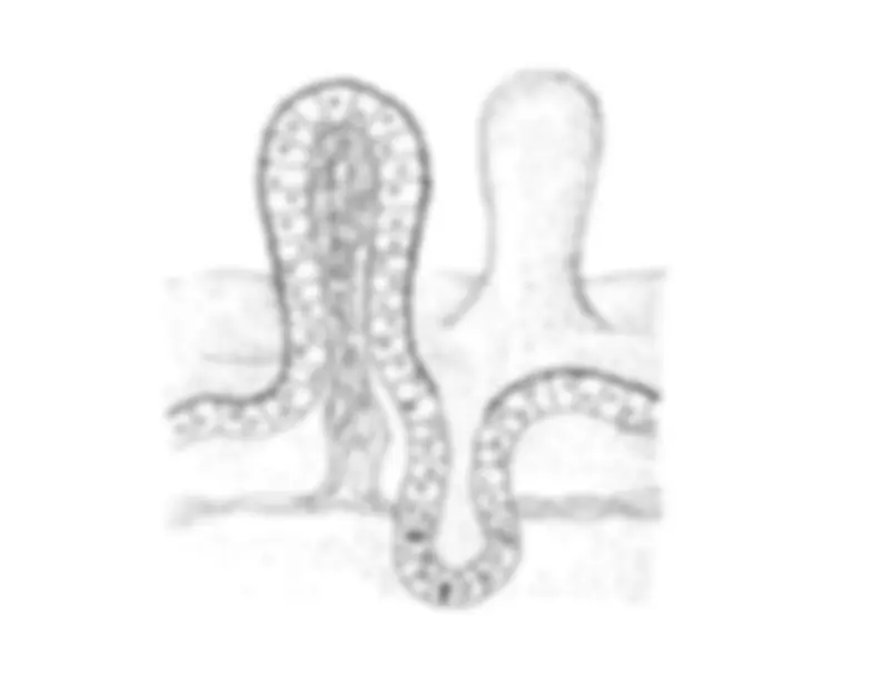 pf34