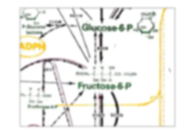 pf4