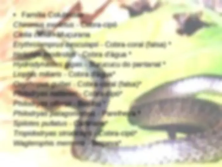 pf37