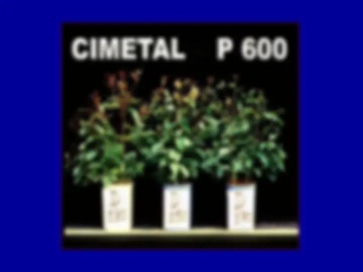 pf5f