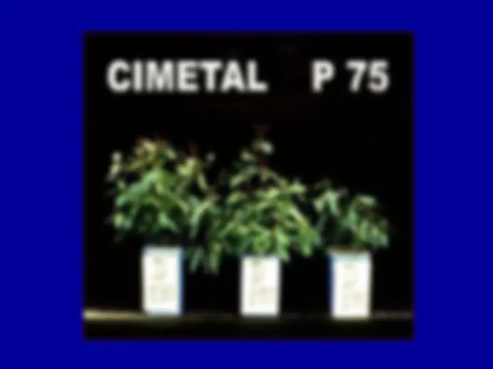 pf5e