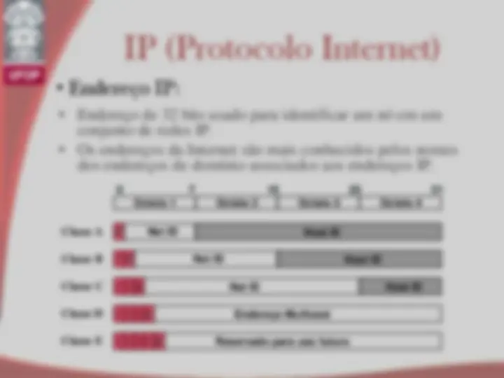 pf19