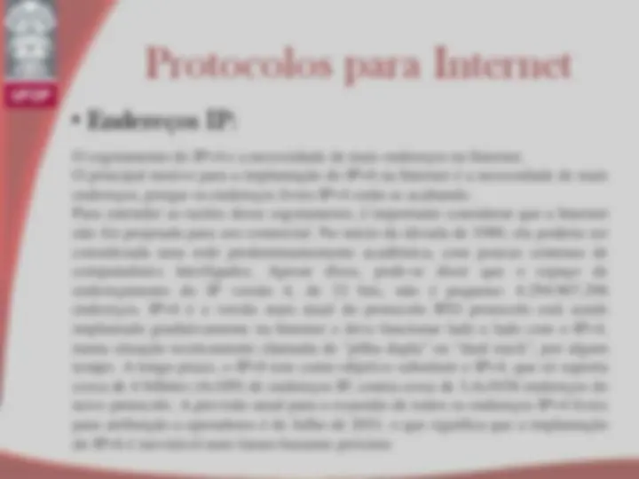 pf24