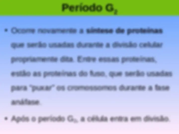 pf19