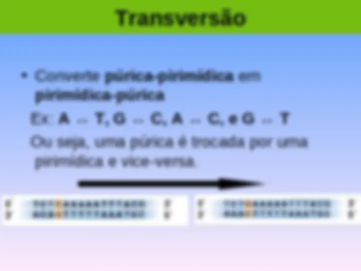 pf5