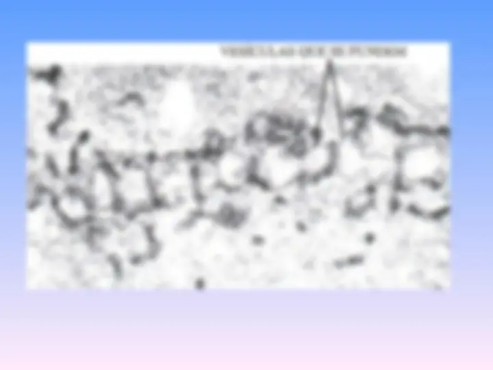pf2a