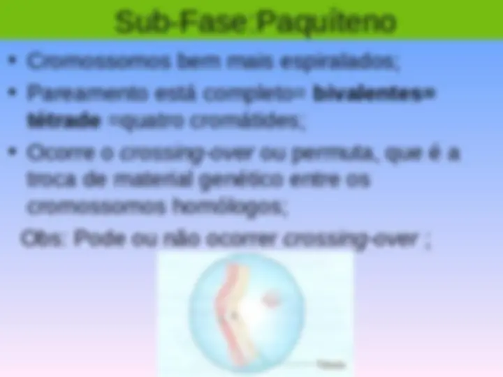 pf34