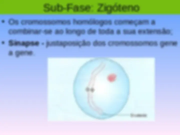 pf32