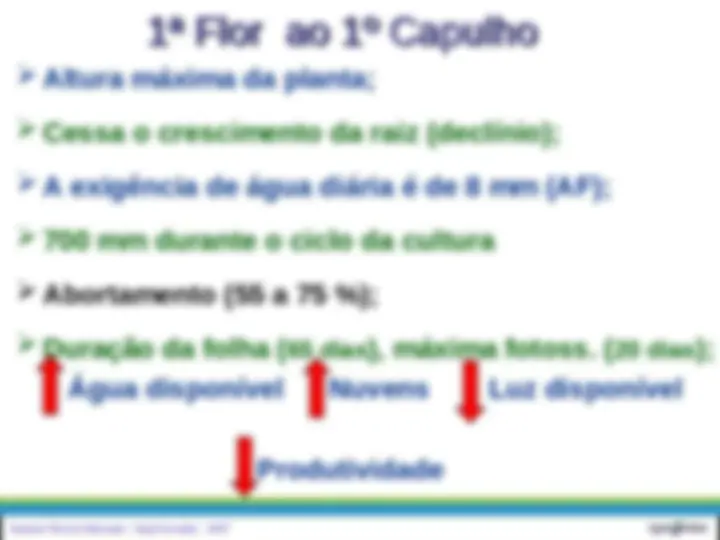 pf1b