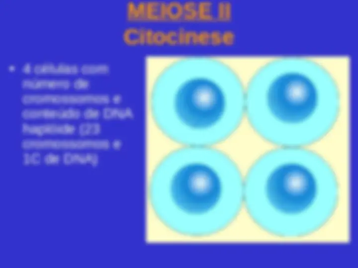 pf38