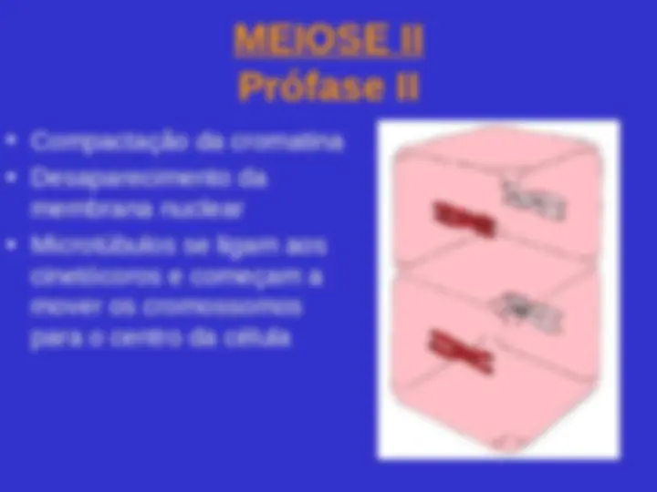 pf34