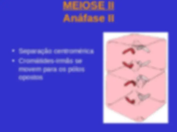 pf36