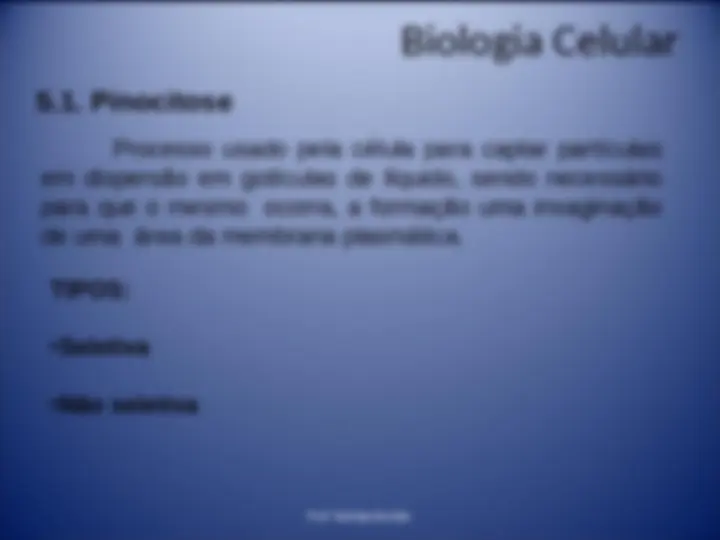 pf20