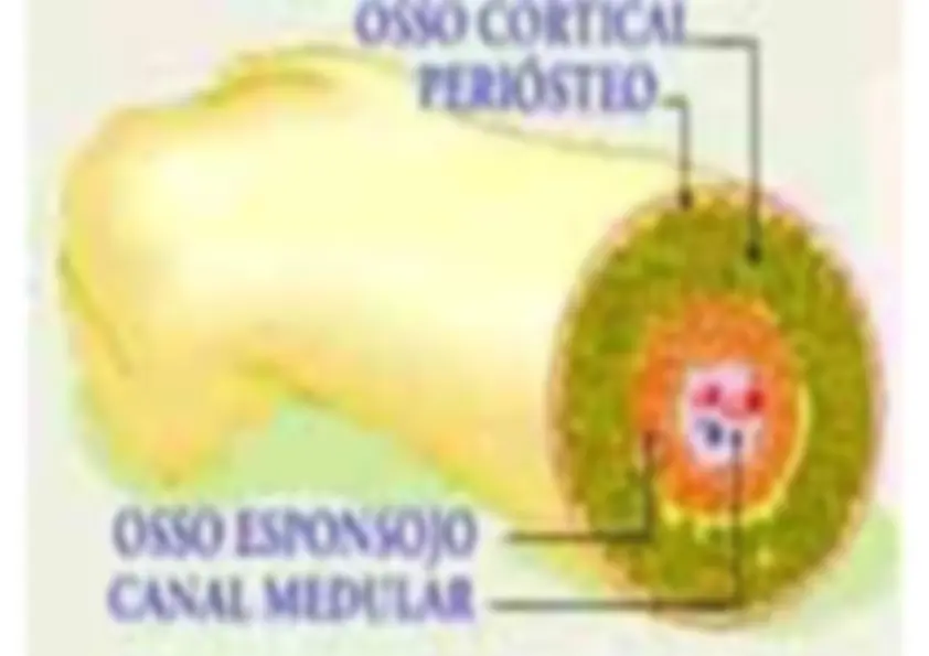 pf14