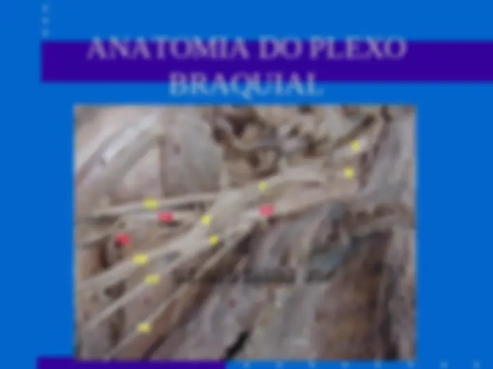 pf8
