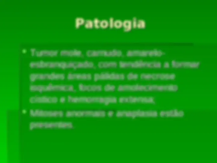 pf19