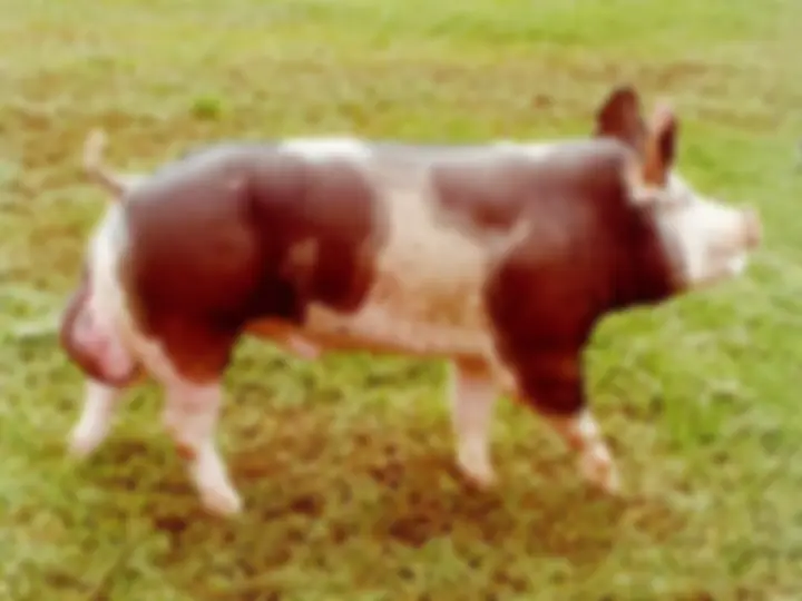 pf5