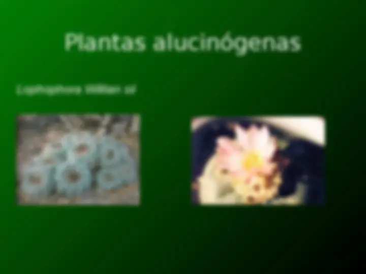 pf48