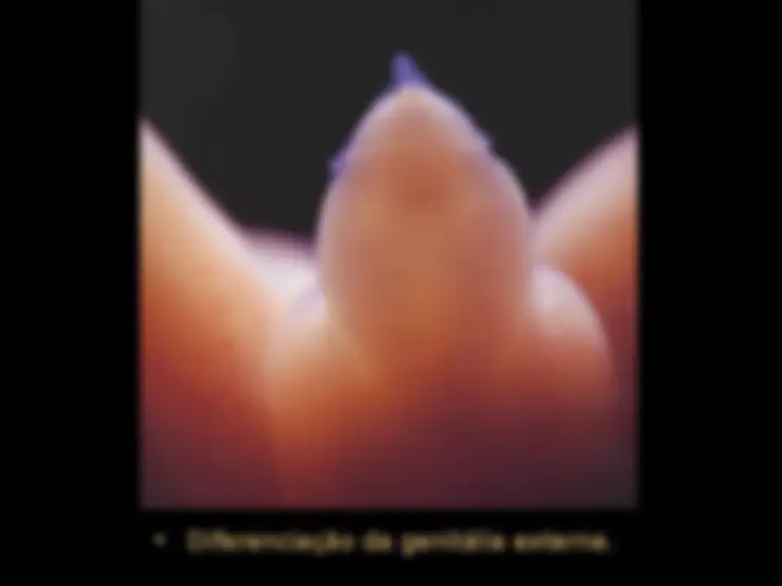 pf8