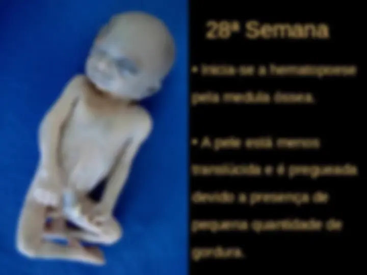 pf14