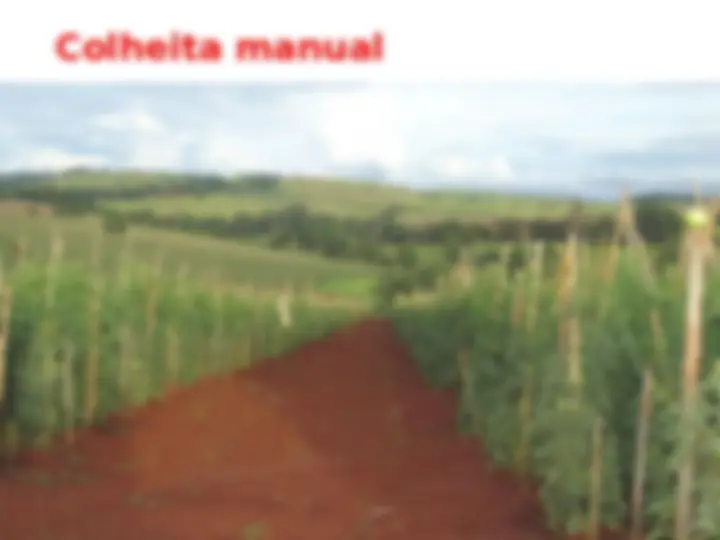 pfa