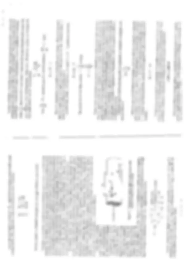 pfa