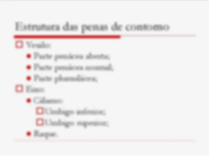 pfe