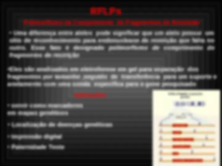 pf33