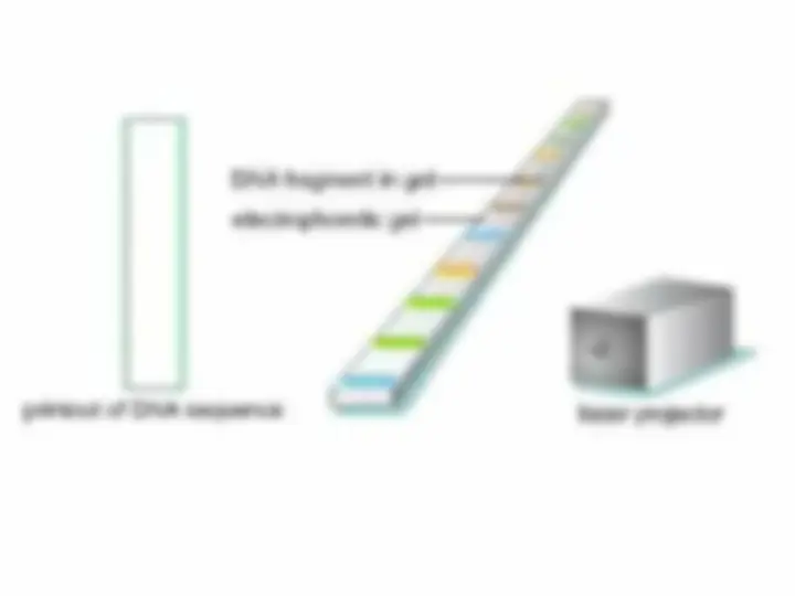 pf41