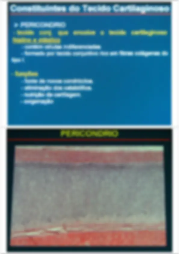 pf5
